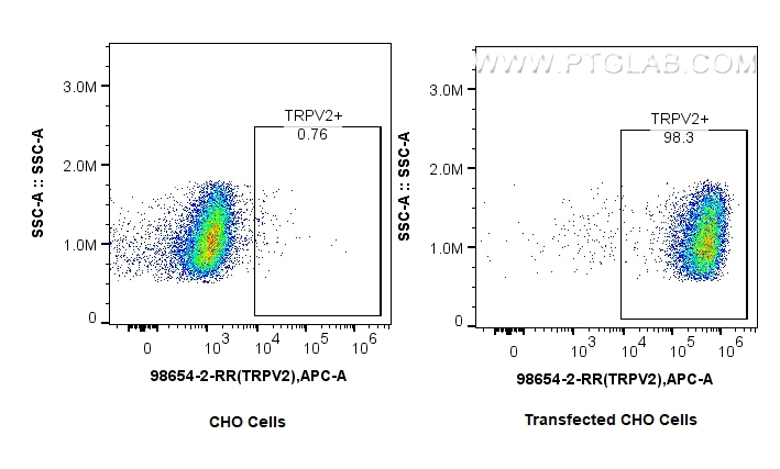 FC experiment of CHO using 98654-2-RR