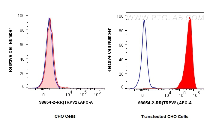 FC experiment of CHO using 98654-2-RR