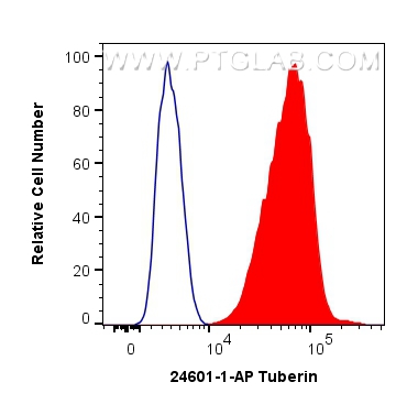 FC experiment of HeLa using 24601-1-AP