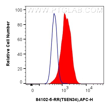 FC experiment of HeLa using 84102-5-RR (same clone as 84102-5-PBS)