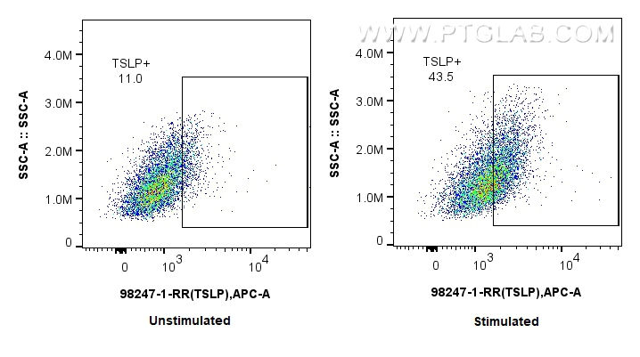 FC experiment of HUVEC using 98247-1-RR (same clone as 98247-1-PBS)
