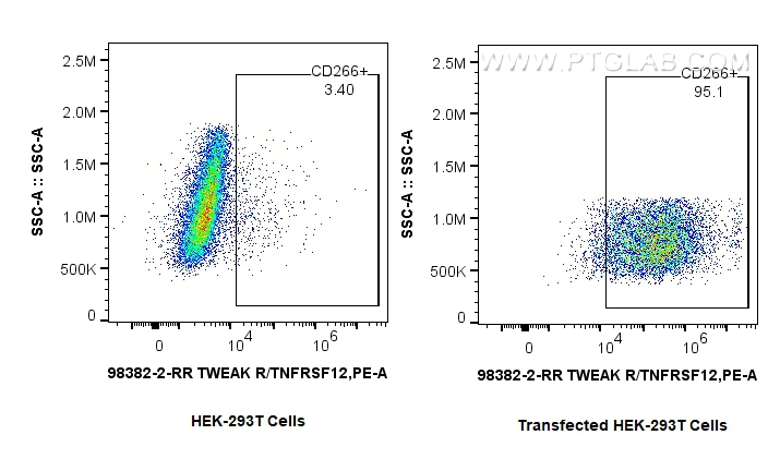 FC experiment of Transfected HEK-293T using 98382-2-RR (same clone as 98382-2-PBS)