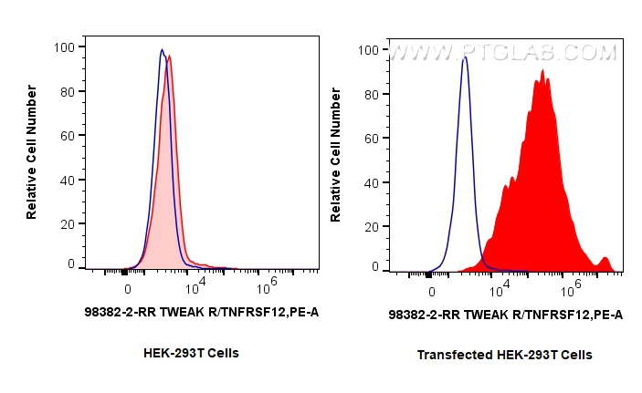 FC experiment of Transfected HEK-293T using 98382-2-RR (same clone as 98382-2-PBS)