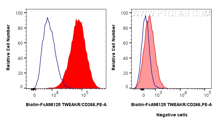 FC experiment of HT-1080 using Biotin-FcA98125