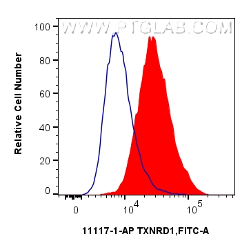 FC experiment of HeLa using 11117-1-AP FC experiment of HeLa using 11117-1-AP