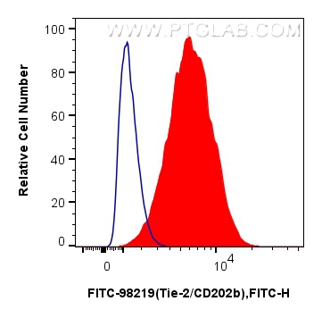 FC experiment of bEnd.3 using FITC-98219