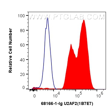 FC experiment of HEK-293 using 68166-1-Ig (same clone as 68166-1-PBS)