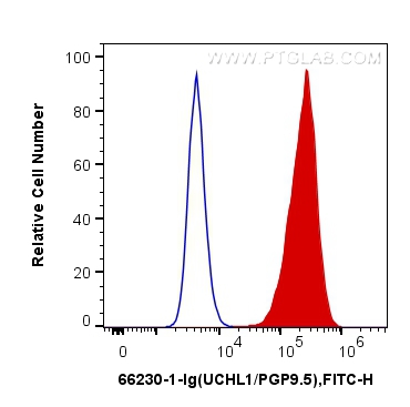 FC experiment of Y79 using 66230-1-Ig