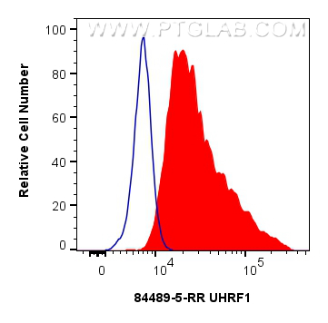 FC experiment of MCF-7 using 84489-5-RR (same clone as 84489-5-PBS)