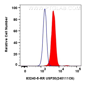 FC experiment of HeLa using 83240-5-RR (same clone as 83240-5-PBS)
