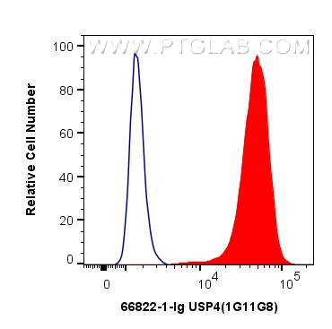 FC experiment of THP-1 using 66822-1-Ig