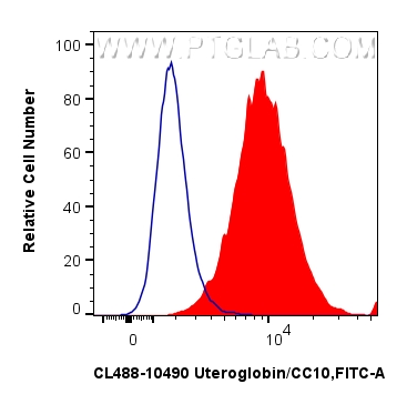 1x10^6 A549 cells were intracellularly stained with 0.8 ug CoraLite® Plus 488-conjugated Uteroglobin/CC10 Polyclonal antibody (CL488-10490)(red),  or 0.8 ug CoraLite® Plus 488 Rabbit IgG Isotype Control RecAb (<a class='green' href='/productredirect?CatalogNo=CL488-98136' target='_blank'>CL488-98136</a>, Clone: 240953C9) (blue). Cells were fixed and permeabilized with Intracellular Flow Cytometry Fixation & Permeabilization Buffer Kit (<a class='green' href='/productredirect?CatalogNo=PF00019' target='_blank'>PF00019</a>). FC experiment of A549 using CL488-10490