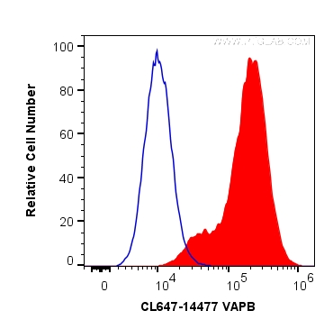 FC experiment of HeLa using CL647-14477