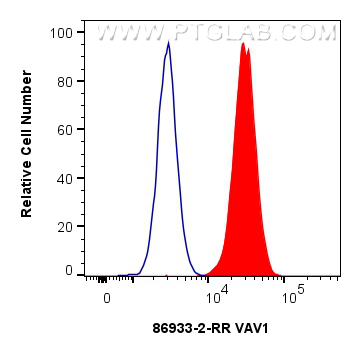FC experiment of Jurkat using 86933-2-RR FC experiment of Jurkat using 86933-2-RR