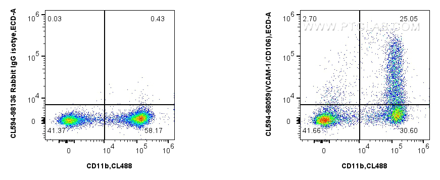 1x10^6 mouse bone marrow cells were surface stained with CoraLite® Plus 750 Anti-Mouse CD11b, and 0.25 ug CoraLite®594 Anti-Mouse VCAM-1/CD106 Rabbit RecAb (CL594-98059, Clone: 240597C2) or CoraLite®594 Rabbit IgG Isotype Control RecAb (<a class='green' href='/productredirect?CatalogNo=CL594-98136' target='_blank'>CL594-98136</a>, Clone: 240953C9). Cells were not fixed. FC experiment of mouse bone marrow cells using CL594-98059