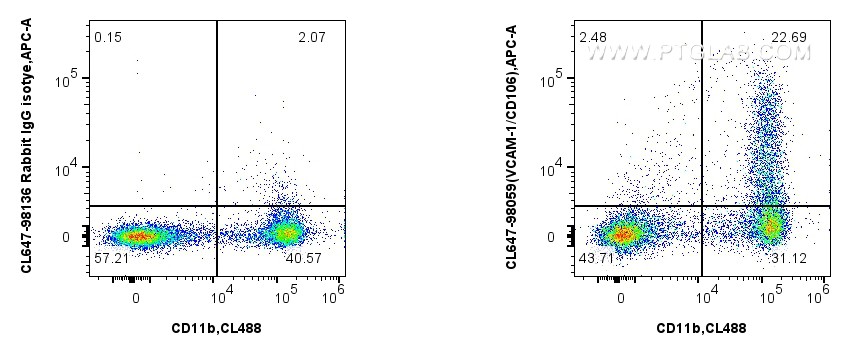1x10^6 mouse bone marrow cells were surface stained with CoraLite® Plus 750 Anti-Mouse CD11b, and 0.25 ug CoraLite®647 Anti-Mouse VCAM-1/CD106 Rabbit RecAb (CL647-98059, Clone: 240597C2) or CoraLite®594 Rabbit IgG Isotype Control RecAb (<a class='green' href='/productredirect?CatalogNo=CL647-98136' target='_blank'>CL647-98136</a>, Clone: 240953C9). Cells were not fixed. FC experiment of mouse bone marrow cells using CL647-98059