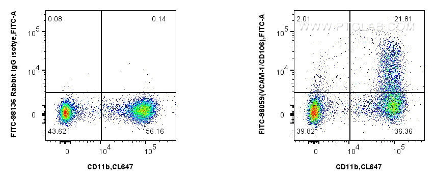 1x10^6 mouse bone marrow cells were surface stained with CoraLite® Plus 750 Anti-Mouse CD11b, and 0.25 ug FITC Anti-Mouse VCAM-1/CD106 Rabbit RecAb (FITC-98059, Clone: 240597C2) or FITC Rabbit IgG Isotype Control RecAb (<a class='green' href='/productredirect?CatalogNo=FITC-98136' target='_blank'>FITC-98136</a>, Clone: 240953C9). Cells were not fixed. FC experiment of mouse bone marrow cells using FITC-98059