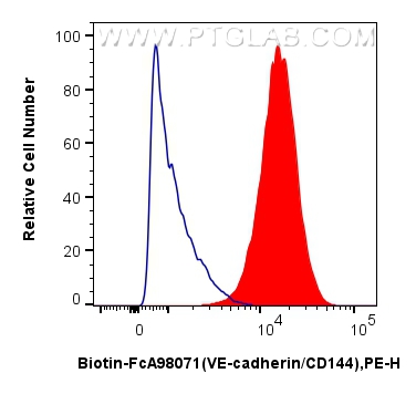 FC experiment of HUVEC using Biotin-FcA98071