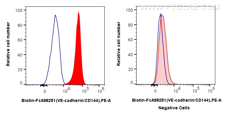 FC experiment of bEnd.3 using Biotin-FcA98251 FC experiment of bEnd.3 using Biotin-FcA98251