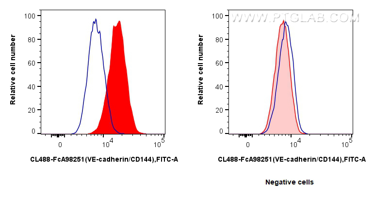 FC experiment of bEnd.3 using CL488-FcA98251