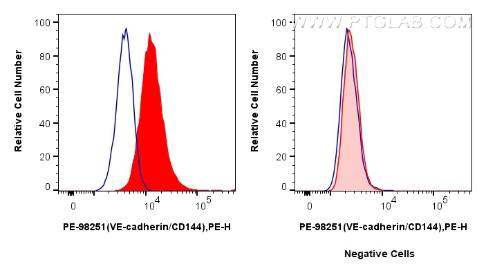 1x10^6 bEnd.3 cells (left) or C2C12 cells (right) were surface stained with 0.1 ug PE Anti-Mouse VE-cadherin/CD144 Rabbit RecAb (PE-98251, Clone: 241953D4) (red) or PE Rabbit IgG Isotype Control Recombinant Antibody (<a class='green' href='/productredirect?CatalogNo=PE-98136' target='_blank'>PE-98136</a>, Clone: 240953C9) (blue). Cells were not fixed. FC experiment of bEnd.3 using PE-98251