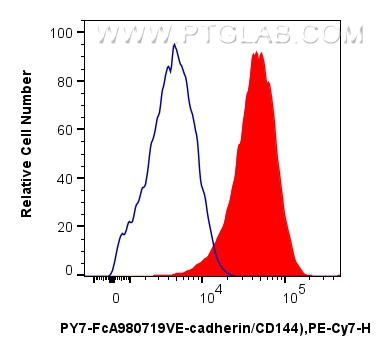 FC experiment of HUVEC using PY7-FcA98071