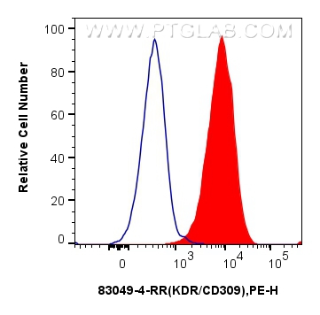 FC experiment of HUVEC using 83049-4-RR (same clone as 83049-4-PBS)