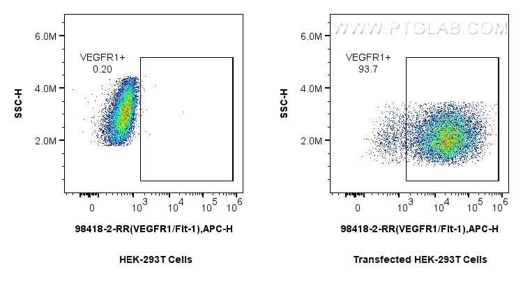 FC experiment of Transfected HEK-293T using 98418-2-RR FC experiment of Transfected HEK-293T using 98418-2-RR