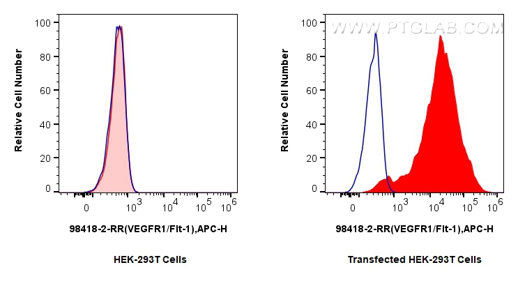 FC experiment of Transfected HEK-293T using 98418-2-RR FC experiment of Transfected HEK-293T using 98418-2-RR