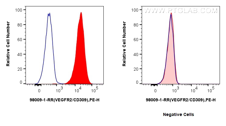 FC experiment of HUVEC using 98009-1-RR