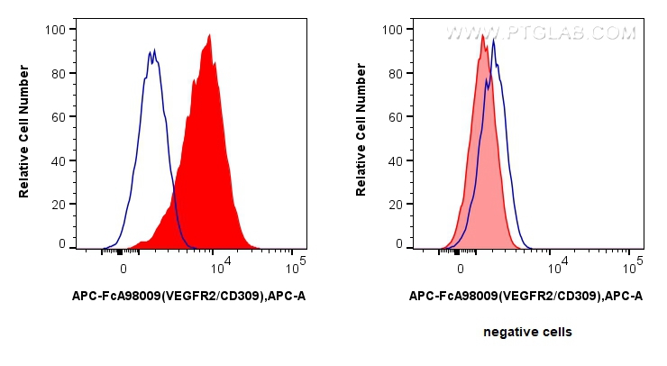 FC experiment of HUVEC using APC-FcA98009