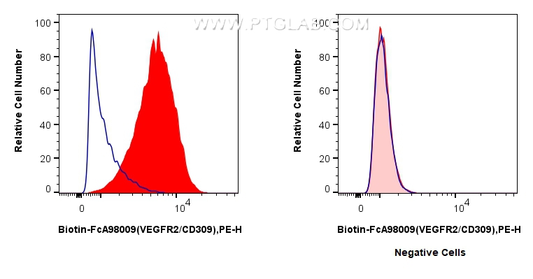 FC experiment of HUVEC using Biotin-FcA98009