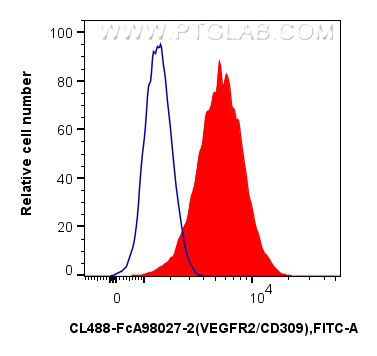FC experiment of bEnd.3 using CL488-FcA98027-2