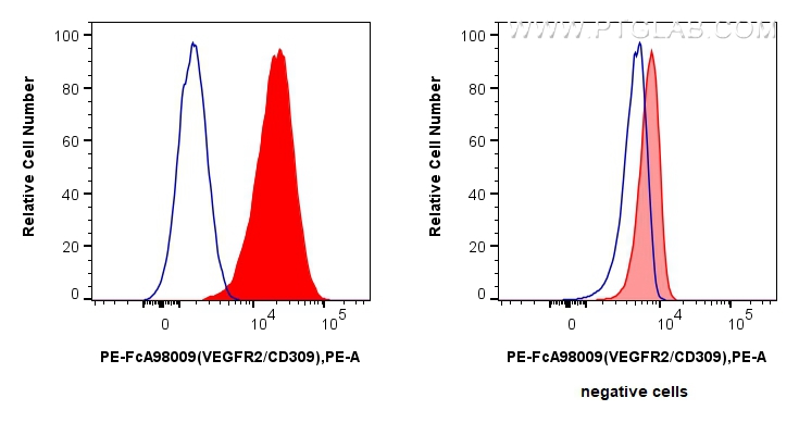 FC experiment of HUVEC using PE-FcA98009