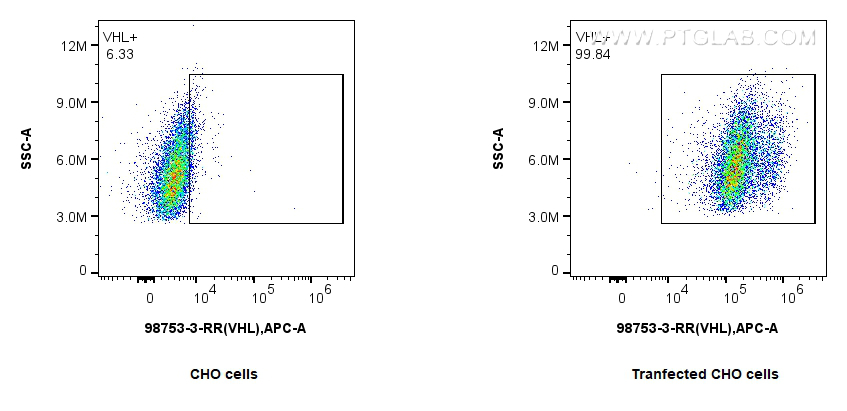 FC experiment of Transfected CHO using 98753-3-RR FC experiment of Transfected CHO using 98753-3-RR