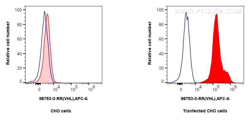 FC experiment of Transfected CHO using 98753-3-RR FC experiment of Transfected CHO using 98753-3-RR