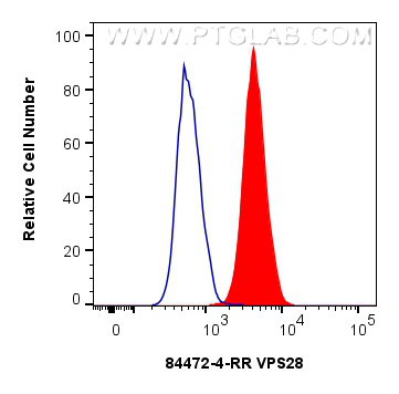 FC experiment of SH-SY5Y using 84472-4-RR