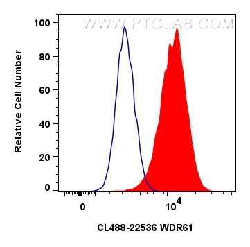 FC experiment of HeLa using CL488-22536