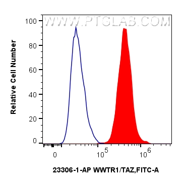 FC experiment of HeLa using 23306-1-AP