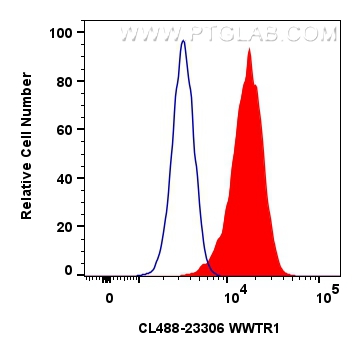 FC experiment of HeLa using CL488-23306