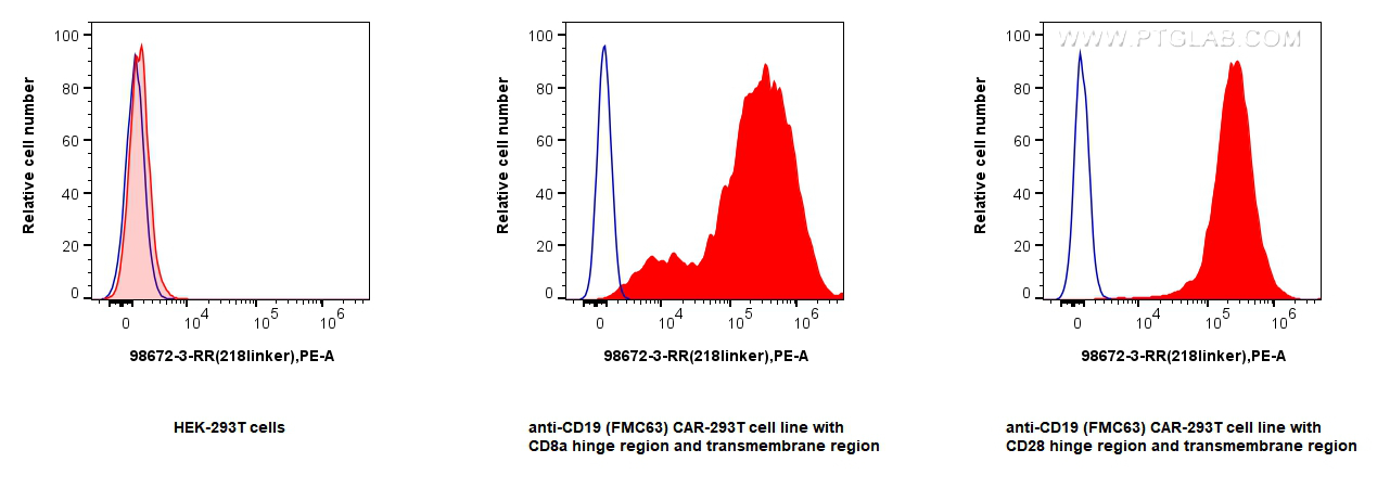 1x10^6 HEK-293T cells or anti-CD19 (FMC63) CAR with CD28 or CD8a hinge region and transmembrane region transfected HEK-293T cells were surface stained with 0.25 ug Anti-Whitlow/218 Linker Rabbit RecAb (98672-3-RR, Clone:252007G8) (red), or 0.25 ug Rabbit IgG Isotype Control RecAb (<a class='green' href='/productredirect?CatalogNo=98136-1-RR' target='_blank'>98136-1-RR</a>, Clone: 240953C9) (blue), and PE-Conjugated Goat Anti-Rabbit IgG(H+L). Cells were not fixed. FC experiment of Transfected HEK-293T using 98672-3-RR