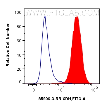 1x10^6 A431 cells were intracellularly stained with 0.25 ug XDH Recombinant monoclonal antibody (85206-3-RR, Clone:242724E3) and CoraLite®488-Conjugated Goat Anti-Rabbit IgG(H+L) (<a class='green' href='/productredirect?CatalogNo=SA00013-2' target='_blank'>SA00013-2</a>)(red), or 0.25 ug Rabbit IgG Isotype Control RecAb (<a class='green' href='/productredirect?CatalogNo=98136-1-RR' target='_blank'>98136-1-RR</a>, Clone: 240953C9) (blue). Cells were fixed and permeabilized with Intracellular Flow Cytometry Fixation & Permeabilization Buffer Kit (<a class='green' href='/productredirect?CatalogNo=PF00019' target='_blank'>PF00019</a>). FC experiment of A431 using 85206-3-RR