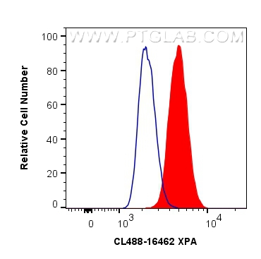 FC experiment of HepG2 using CL488-16462