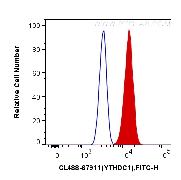 FC experiment of A431 using CL488-67911