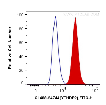 FC experiment of HeLa using CL488-24744