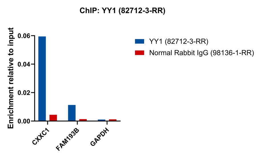 ChIP experiment of K-562 using 82712-3-RR