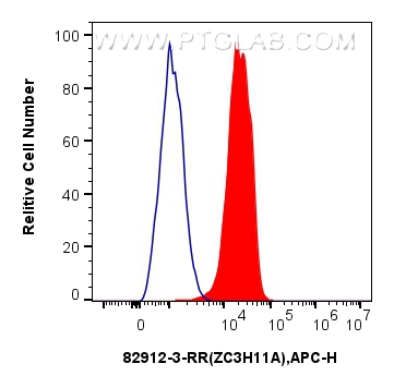 FC experiment of A431 using 82912-3-RR