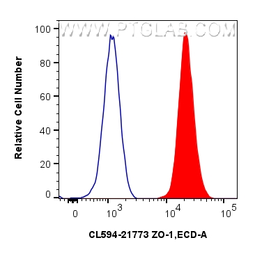 1x10^6 MCF-7 cells were intracellularly stained with 0.8 ug CoraLite®594-conjugated ZO-1 Polyclonal antibody (CL594-21773)(red),  or 0.8 ug Isotype Control (blue). Cells were fixed and permeabilized with Intracellular Flow Cytometry Fixation & Permeabilization Buffer Kit (<a class='green' href='/productredirect?CatalogNo=PF00019' target='_blank'>PF00019</a>). FC experiment of MCF-7 using CL594-21773