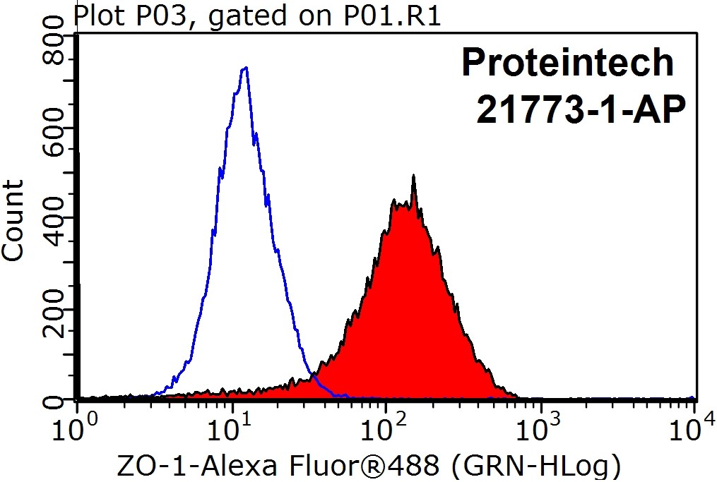 FC experiment of MCF-7 using 21773-1-AP