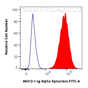 FC experiment of SH-SY5Y using 66412-1-Ig
